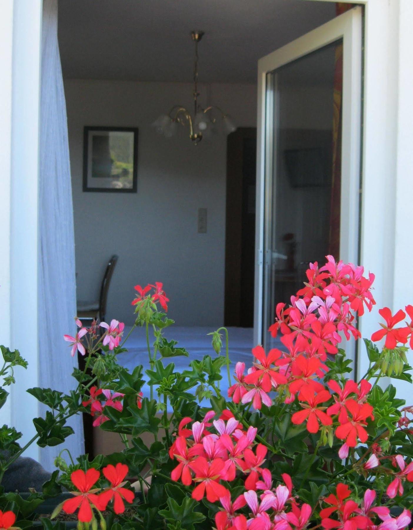 Krinserhof Easy-Rooms Seefeld no Tirol Exterior foto